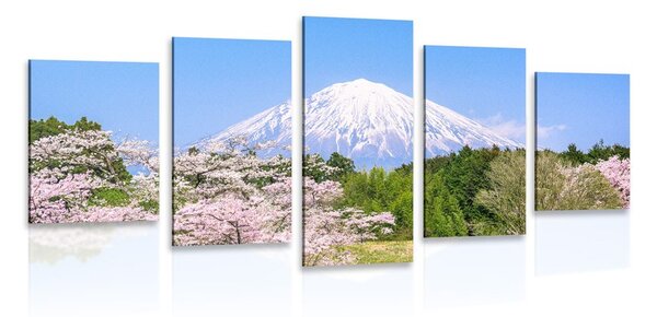 Quadri 5 pezzi – Vulcano Fuji