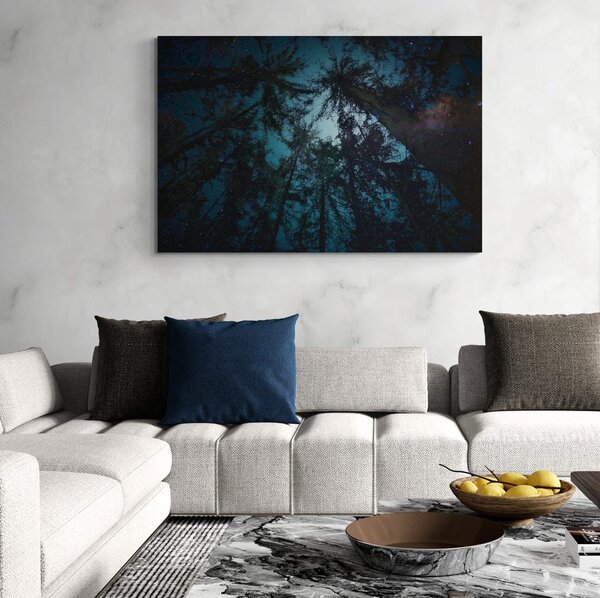 Quadro su tela – Notte nella foresta