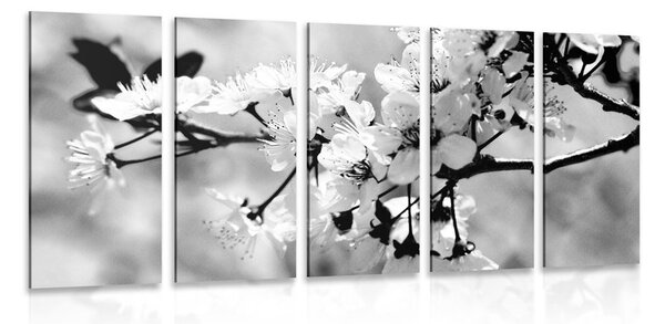 Quadri 5 pezzi – Fiore di ciliegio in bianco e nero