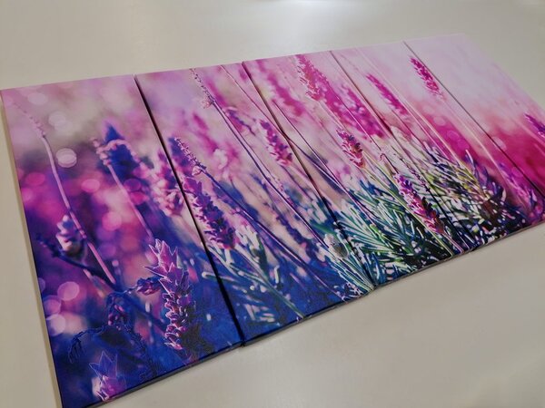 Quadri 5 pezzi – Fiori di lavanda magici