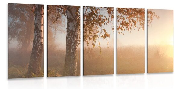 Quadri 5 pezzi – Foresta autunnale nebbiosa