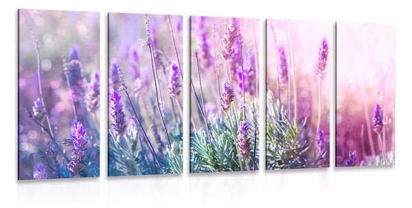 Quadri 5 pezzi – Fiori di lavanda magici