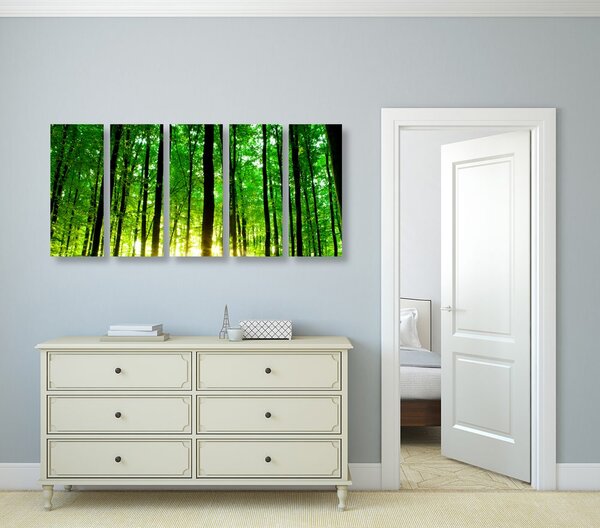 Quadri 5 pezzi – Foresta verde rigogliosa