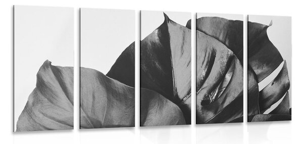 Quadri 5 pezzi – Foglia di monstera in bianco e nero