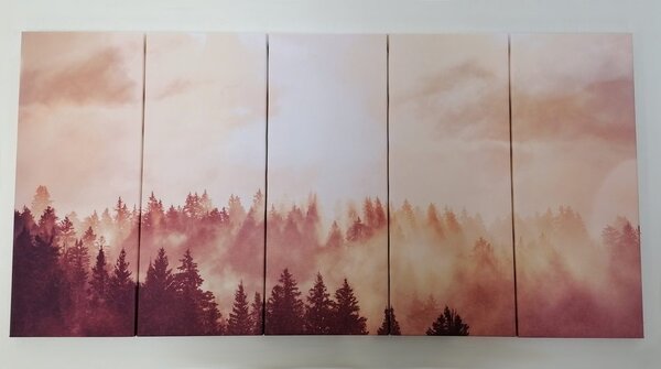Quadri 5 pezzi – Foresta nebbiosa