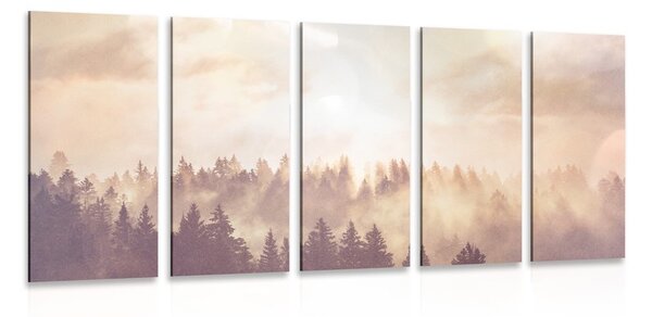 Quadri 5 pezzi – Foresta nebbiosa