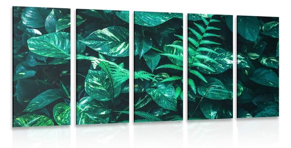 Quadri 5 pezzi – Foglie tropicali fresche