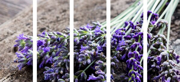 Quadri 5 pezzi – Bouquet di lavanda