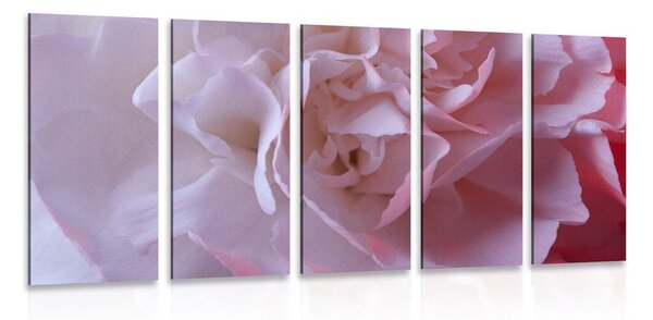 Quadri 5 pezzi – Petali di garofano