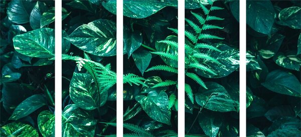 Quadri 5 pezzi – Foglie tropicali fresche