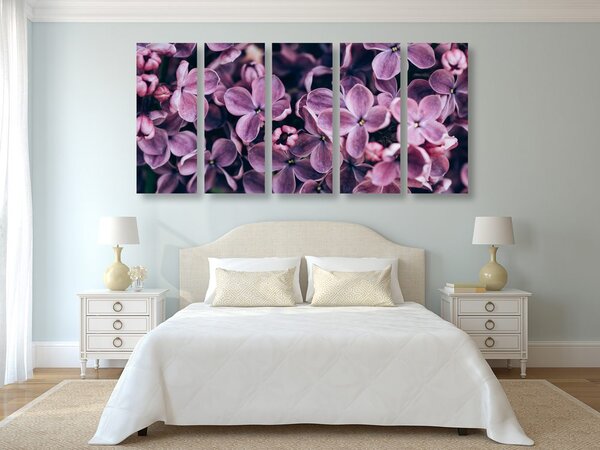 Quadri 5 pezzi – Fiori di lillà viola