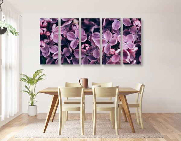 Quadri 5 pezzi – Fiori di lillà viola