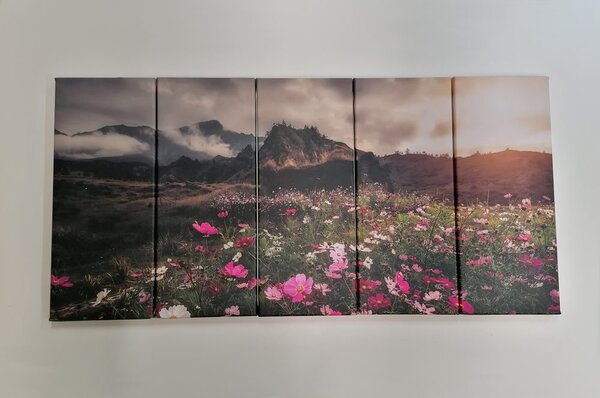 Quadri 5 pezzi – Prato di fiori in fiore