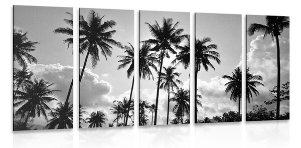 Quadri 5 pezzi – Palme da cocco sulla spiaggia in bianco e nero