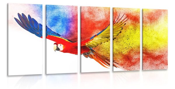 Quadri 5 pezzi – Volo di pappagallo