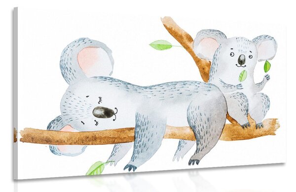 Stampa su tela – Koala adorabili