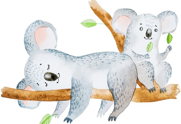 Stampa su tela – Koala adorabili