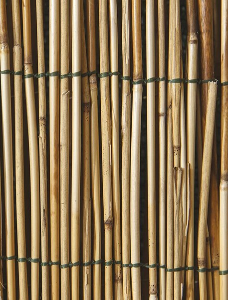 Biacchi Arella per Recinzioni in Bamboo 100x300 cm - BI01
