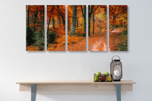 Quadri 5 pezzi – Foresta in autunno