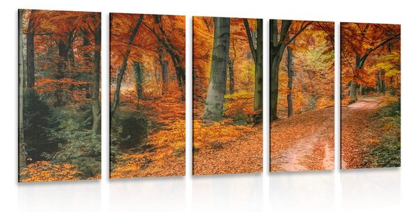 Quadri 5 pezzi – Foresta in autunno