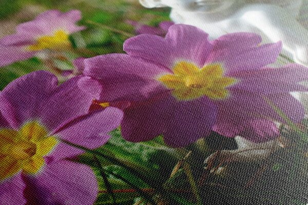 Quadro su tela – Angioletto nel giardino