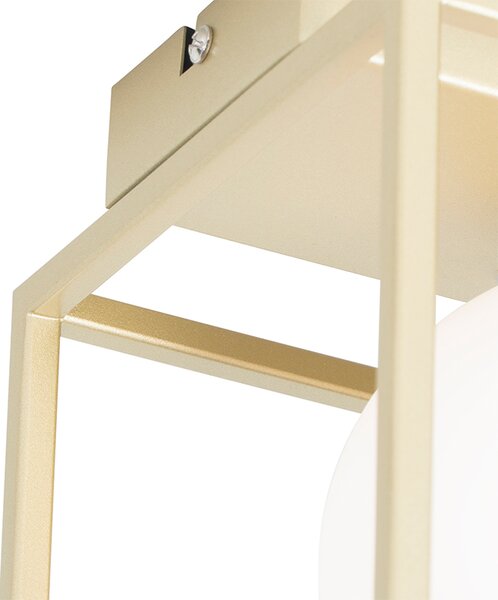 Plafoniera di design oro con vetro bianco 2 luci - Aniek