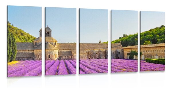 Quadri 5 pezzi – Provenza con campi di lavanda