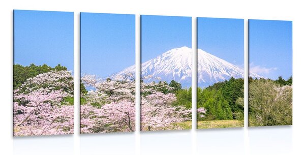 Quadri 5 pezzi – Vulcano Fuji