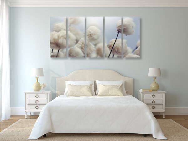 Quadri 5 pezzi – Fiori di cotone artico