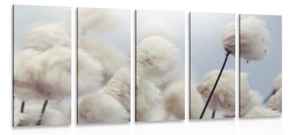 Quadri 5 pezzi – Fiori di cotone artico