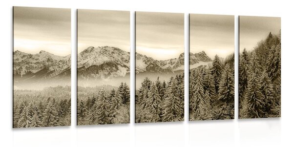 Quadri 5 pezzi – Montagne congelate in versione seppia