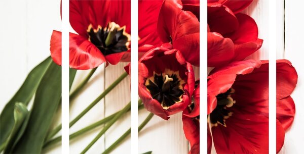 Quadri 5 pezzi – Tulipani rossi in fiore