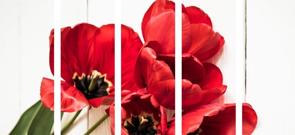 Quadri 5 pezzi – Tulipani rossi in fiore
