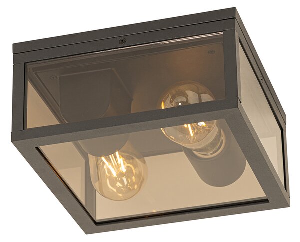 Plafoniera nera con vetro fumé 2 luci IP44 - Charlois