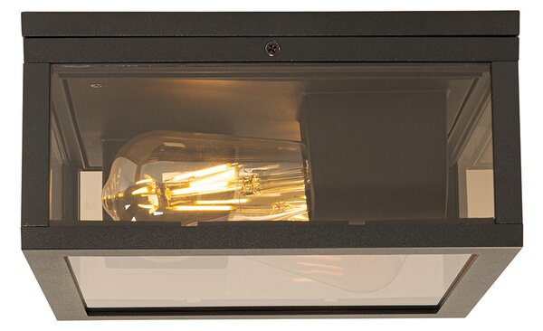 Plafoniera nera con vetro fumé 2 luci IP44 - Charlois