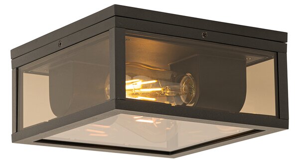 Plafoniera nera con vetro fumé 2 luci IP44 - Charlois