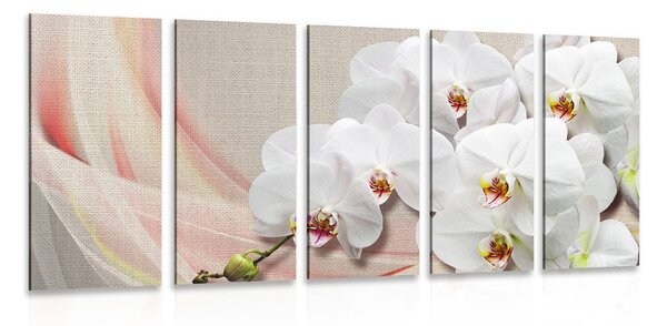 Quadri 5 pezzi – Orchidea bianca su tela