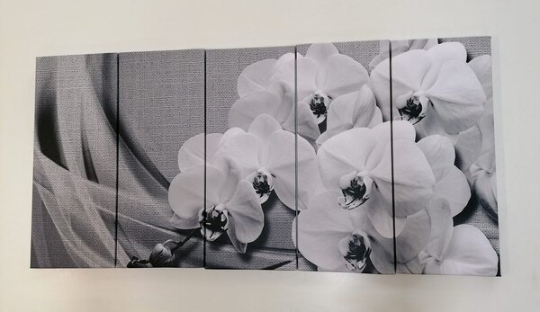 Quadri 5 pezzi – Orchidea su tela in bianco e nero