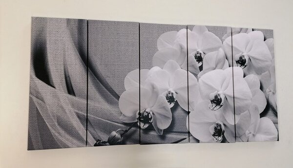 Quadri 5 pezzi – Orchidea su tela in bianco e nero