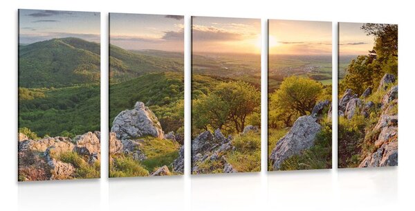 Quadri 5 pezzi – Natura baciata dal sole