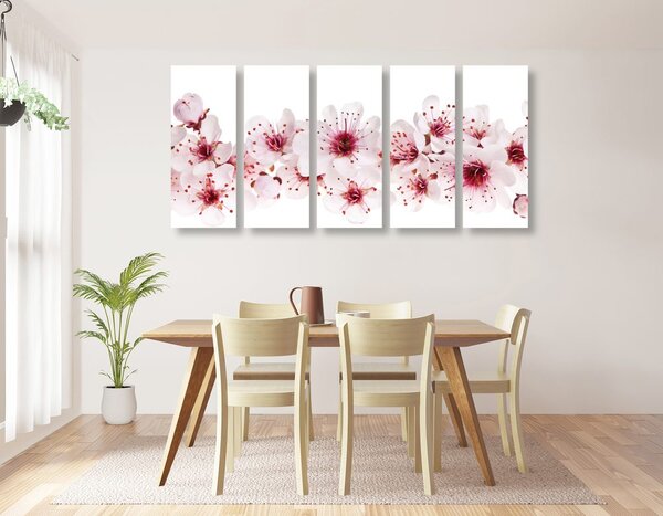 Quadri 5 pezzi – Fiori di ciliegio