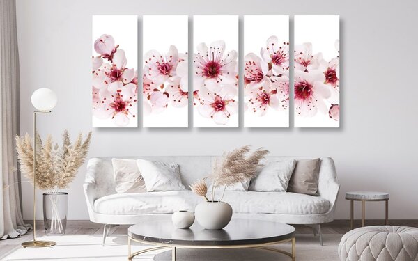 Quadri 5 pezzi – Fiori di ciliegio