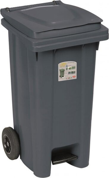 STEFANPLAST Bidone Spazzatura Pattumiera Rifiuti per Raccolta Differenziata Pattumiera con pedale 120 Litri colore Grigio - 25706