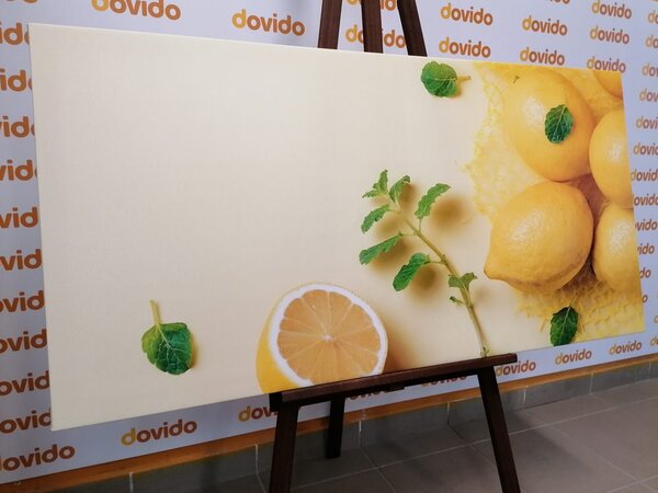 Stampa su tela – Limoni con menta
