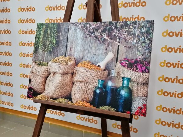 Quadro su tela – Erbe medicinali