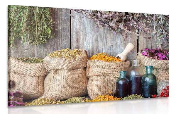 Quadro su tela – Erbe medicinali