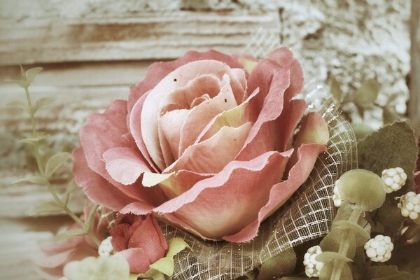 Stampa su tela – Rosa vintage rosa