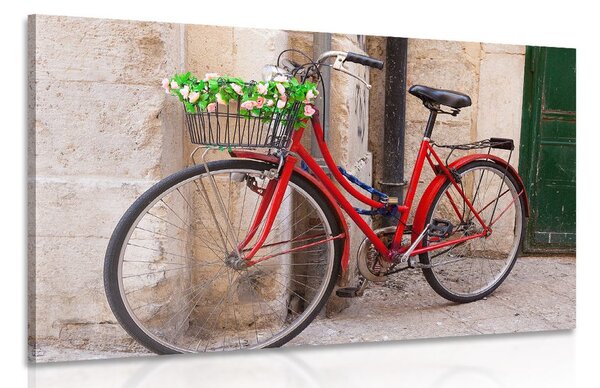 Stampa su tela – Bicicletta rustica