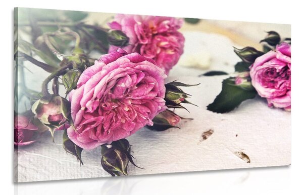 Quadro su tela – Rose in fiore