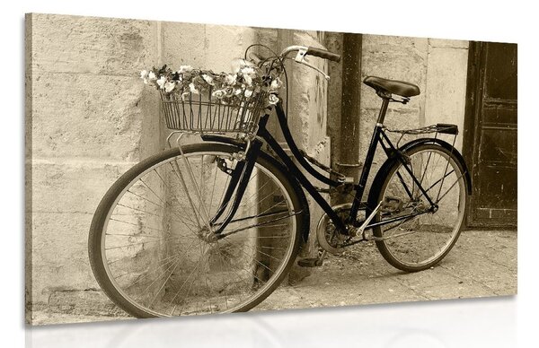 Stampa su tela – Bicicletta rustica in seppia